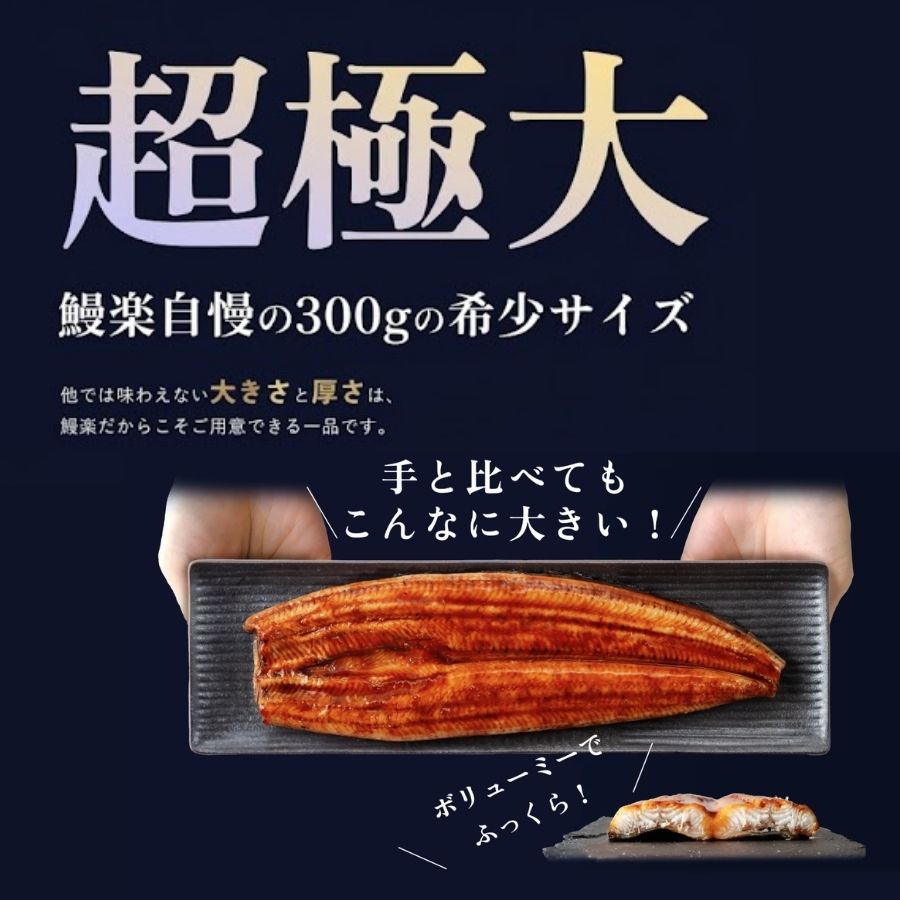 【送料無料対象商品】<br>国産うなぎ蒲焼 長焼【極】1尾<br>＜2〜3人前＞