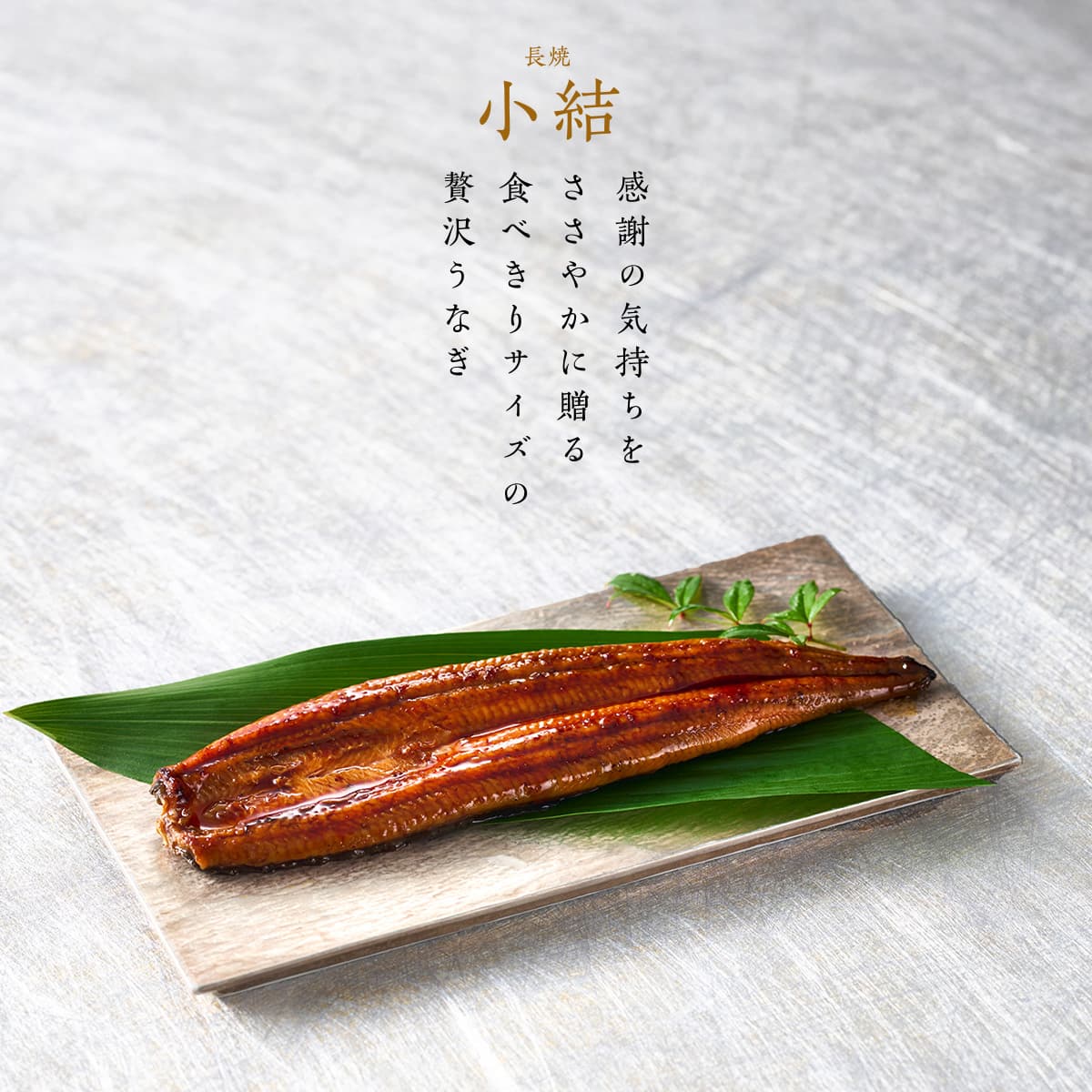 【新商品】国産うなぎ蒲焼 長焼【小結】2尾<br>＜1～2人前＞