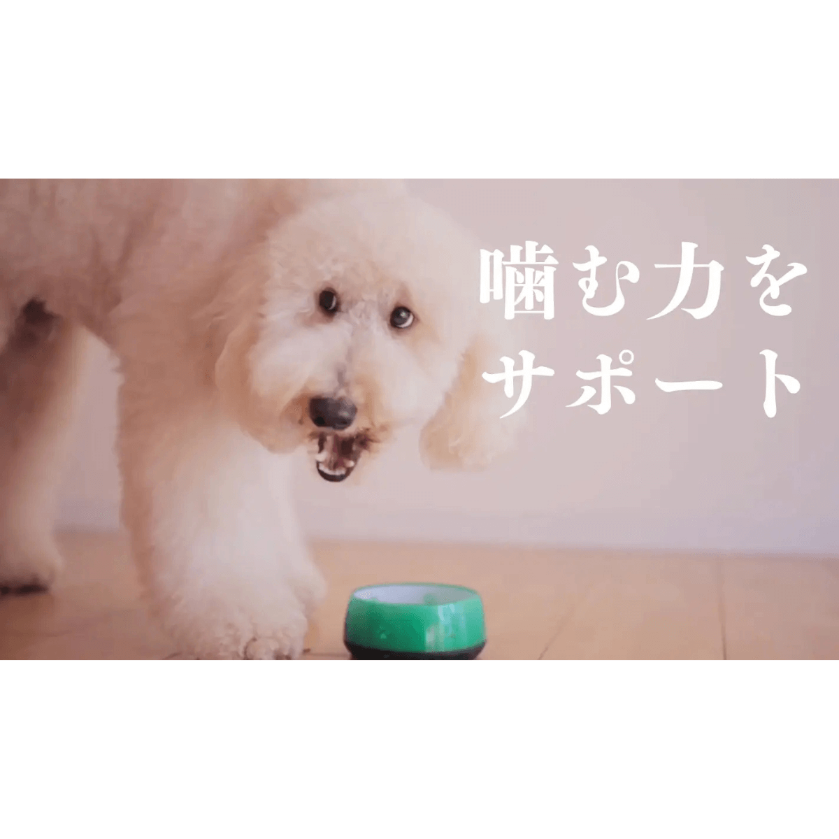 公式先行発売！『うなまる』<br>（九州産うなぎの頭使用）<br>養鰻家がつくった犬のおやつ<br>3袋セット