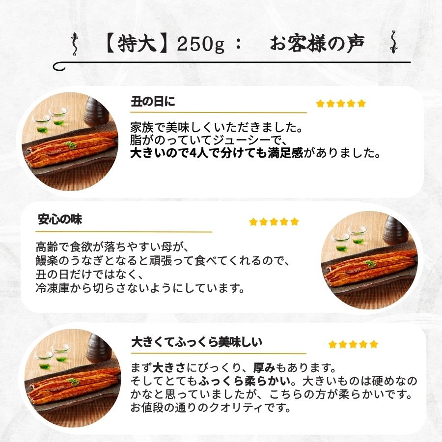 宮崎県産 うなぎ蒲焼 特大長焼1尾-鰻楽公式オンラインショップ｜国産