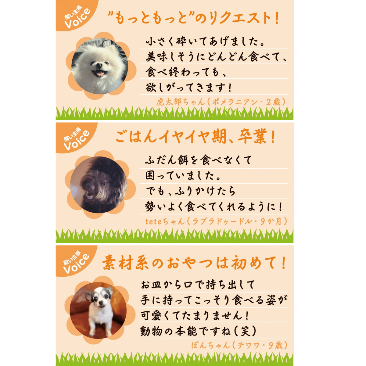 公式先行発売！『うなまる』<br>（九州産うなぎの頭使用）<br>養鰻家がつくった犬のおやつ<br>3袋セット