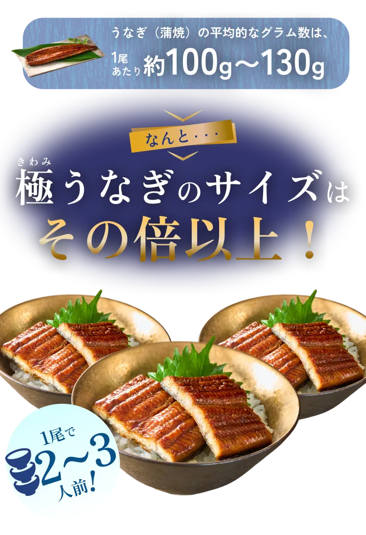 1尾で2〜3人前！ うなぎ（蒲焼）の平均的なグラム数は、1尾あたり約100g〜130g 極うなぎのサイズはその倍以上！