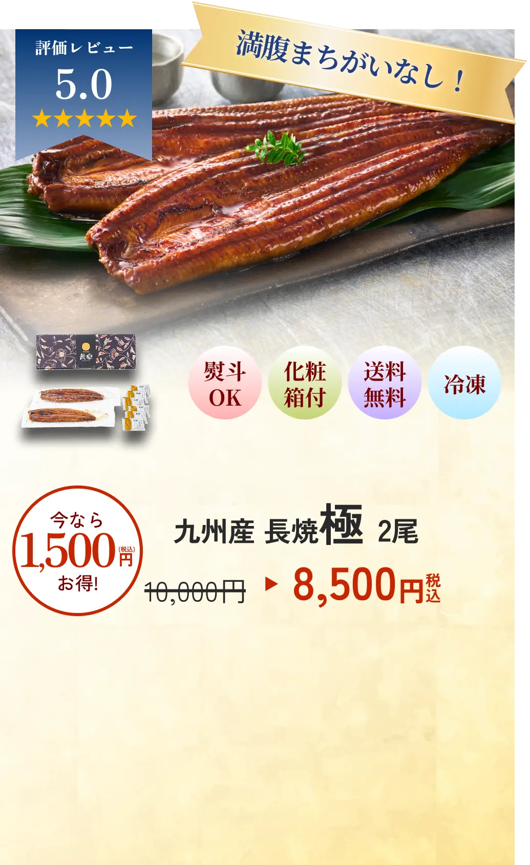 無理なく贈れる10枚セット 九州産 長焼極 2尾 8500円