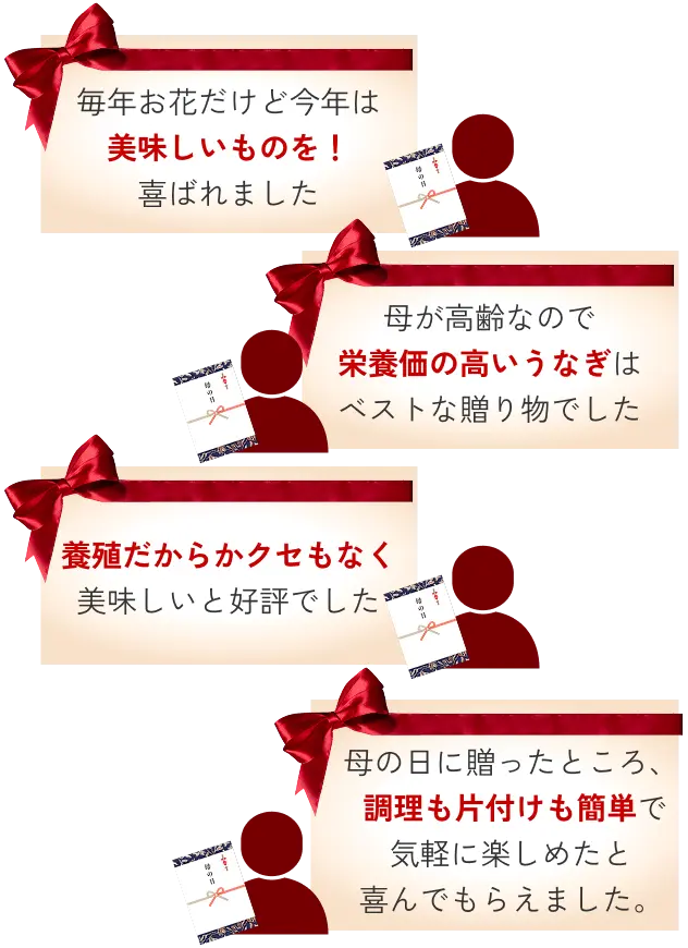 毎年お花だけど今年は美味しいものを！喜ばれました◆母の日に贈ったところ、調理も片付けも簡単で気軽に楽しめたと喜んでもらえました。◆養殖だからかくせもなく美味しいと好評でした◆母が高齢なので栄養価の高いうなぎはベストな贈り物でした