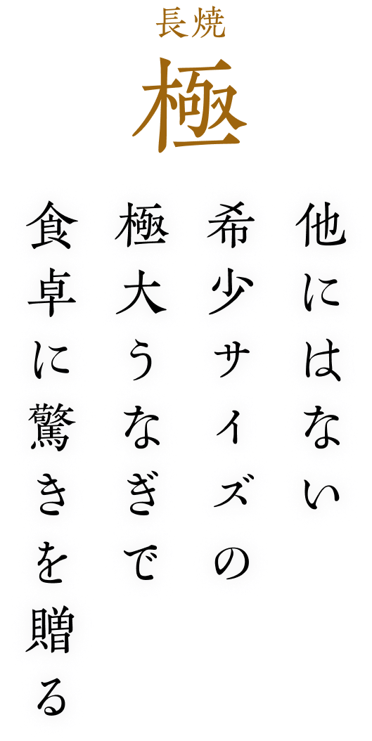 長焼 極 他にはない希少サイズの極大うなぎで食卓に驚きを贈る