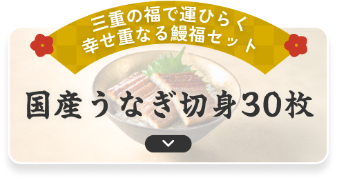 国産うなぎ切身30枚
