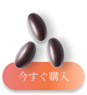 今すぐ試してみる