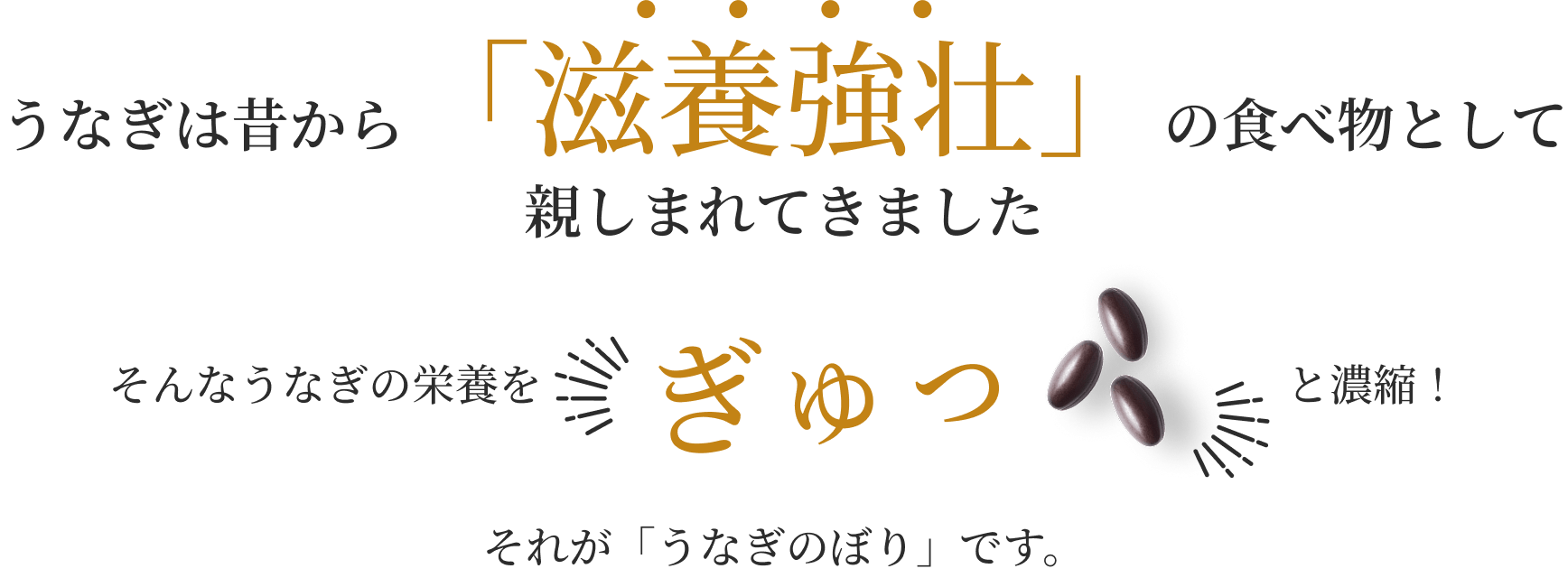 うなぎは昔から「滋養強壮」の食べ物として親しまれてきました そんなうなぎの栄養を ぎゅっ と濃縮！ それが「うなぎのぼり」です。