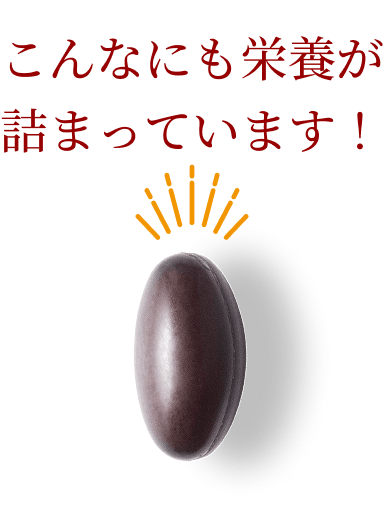 こんなにも栄養が詰まっています！