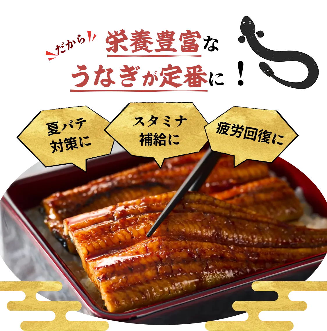 だから栄養豊富なうなぎが定番に！◆夏バテ対策に◆スタミナ補給に◆疲労回復に