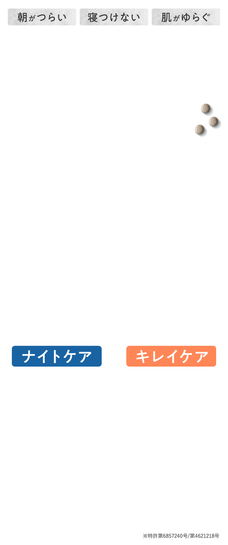 ※特許第6857240号/第4621218号