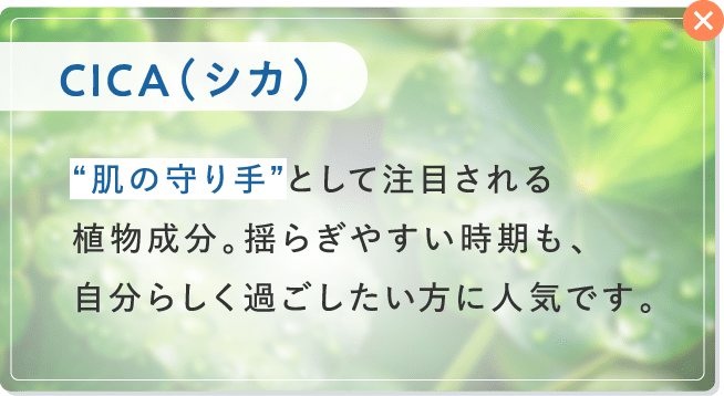CICA(シカ)
