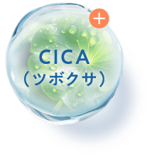 CICA（ツボクサ）
