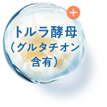 トルラ酵母（グルタチオン含有）