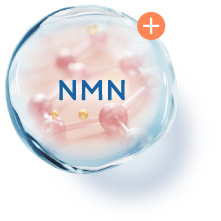 NMN