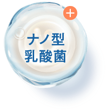 ナノ型乳酸菌