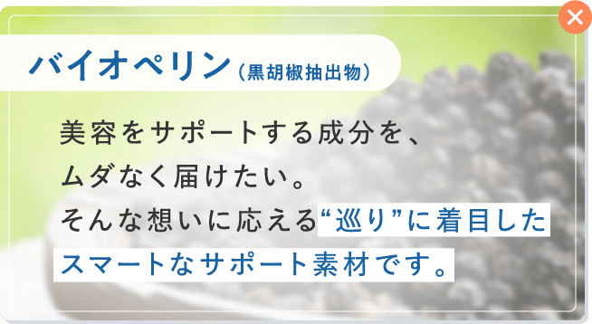 バイオペリン（黒胡椒抽出物）