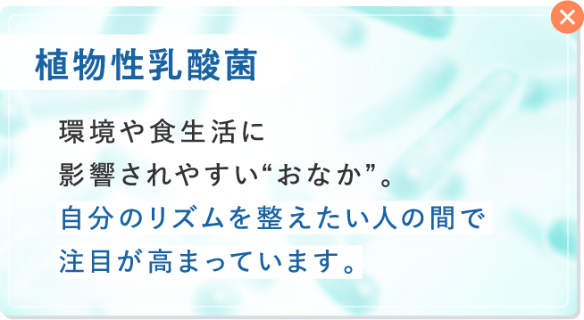 植物性乳酸菌
