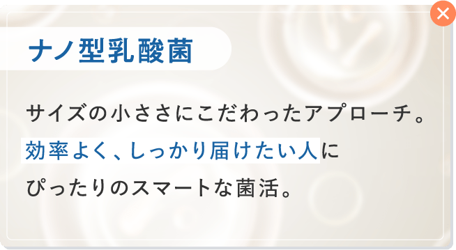 ナノ型乳酸菌