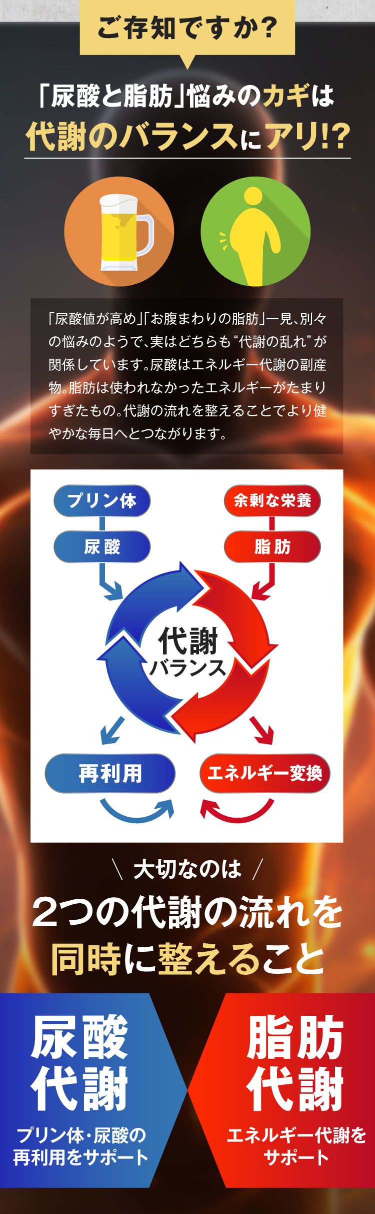 代謝のバランスにアリ