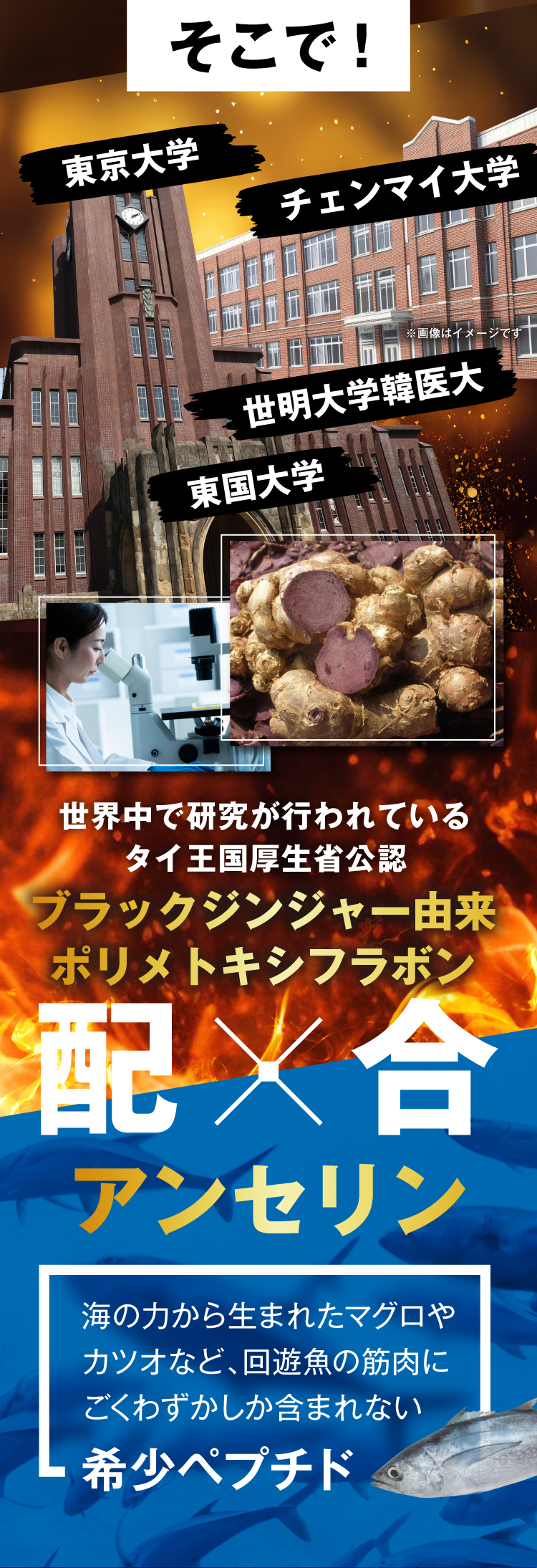 そこで!