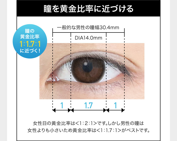 瞳を黄金比率に近づける 瞳の黄金比率 1:1.7:1 に近づく! 一般的な男性の瞳幅30.4mm DIA14.Omm 1 1.7 1 女性目の黄金比率は<1:2:1>です。しかし男性の瞳は女性よりも小さいため黄金比率は<1:1.7:1>がベストです。