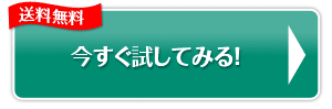 今すぐ、試してみる!!