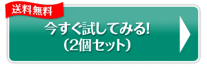 今すぐ、試してみる!!