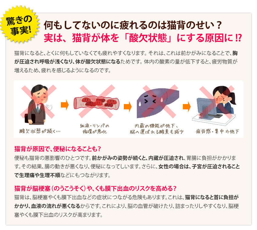 驚きの事実！！何もしていないのに疲れるのは猫背のせい？実は猫背が体を酸欠状態にする原因だった！？猫背が原因で便秘に？猫背が脳梗塞やくも膜下出血のリスクを高める！？