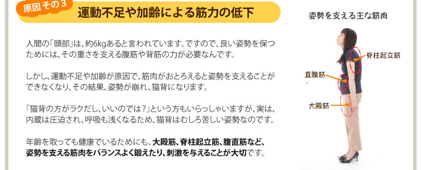 原因その３運動不足や加齢による筋力の低下。姿勢を支える筋肉をバランスよく鍛えたり、刺激を与えることが大切です。