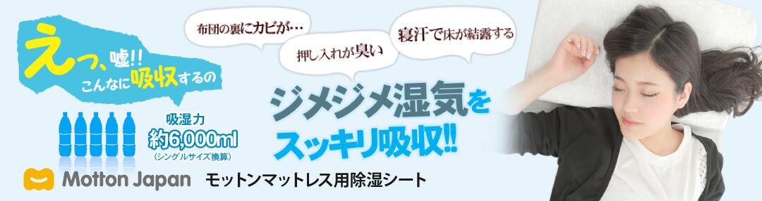 ジメジメ湿気をスッキリ吸収 モットン除湿シート