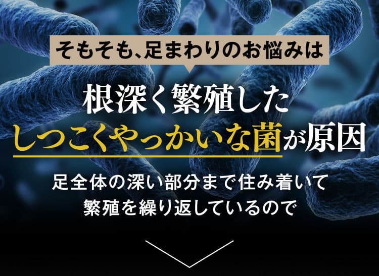 根深く繁殖したしつこくやっかいな菌が原因