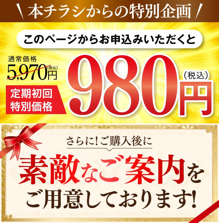 ベルーナからの特別キャンペーン！