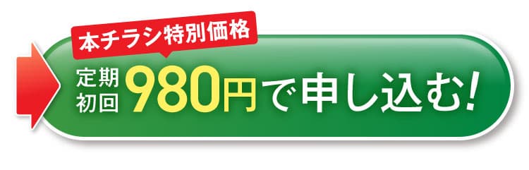 980円で申し込む！