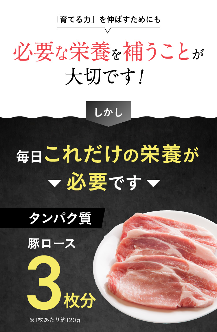 「育てる力」を伸ばすためにも必要な栄養を補うことが大切です！しかし、毎日たくさんの栄養が必要です。
