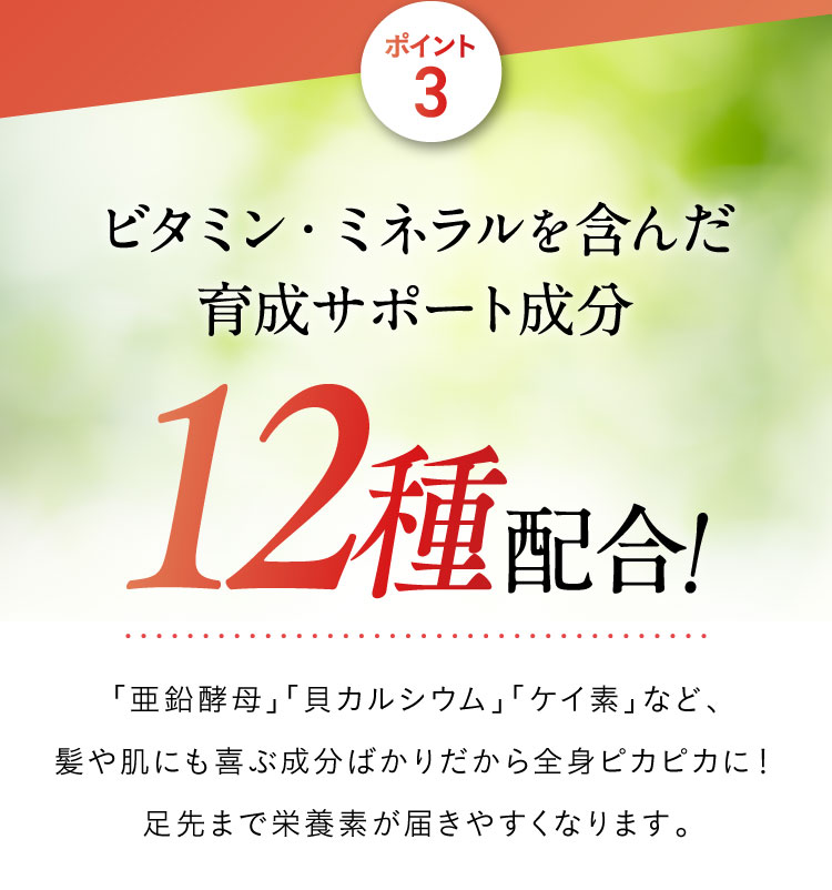 ポイント３　ビタミン・ミネラルを含んだ育成サポート成分12種配合！