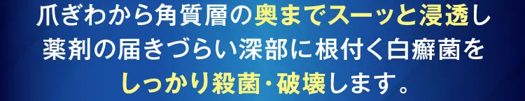 しっかり殺菌破壊します