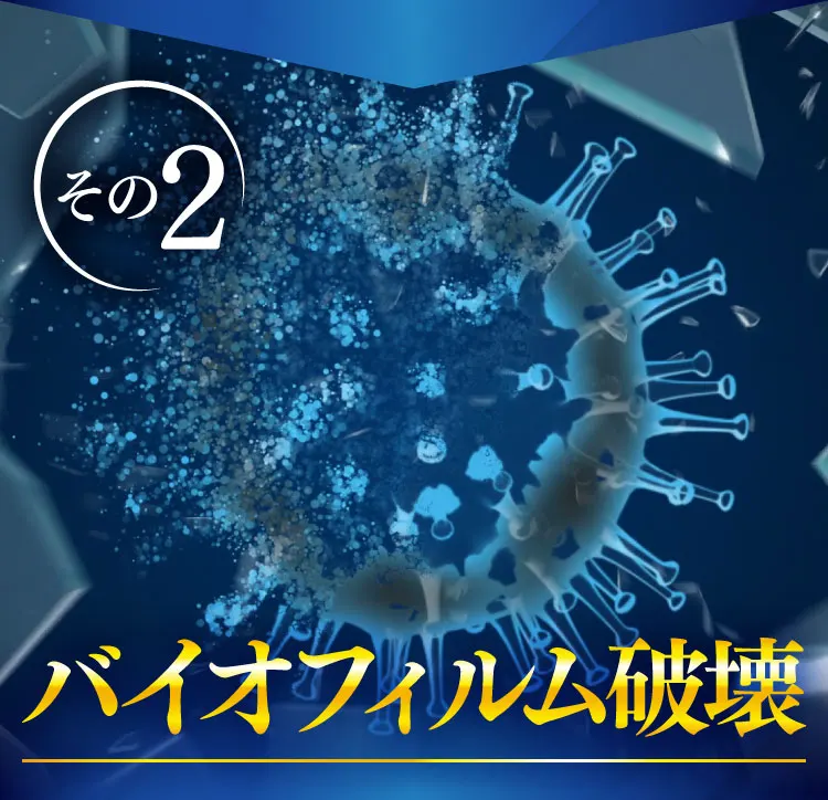 バイオフィルム破壊