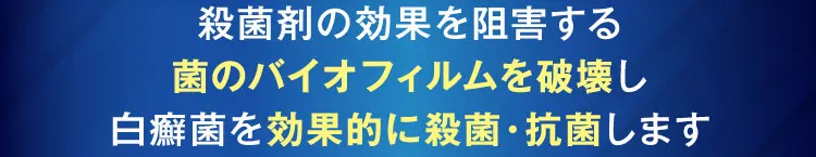 菌のバイオフィルムを破壊し