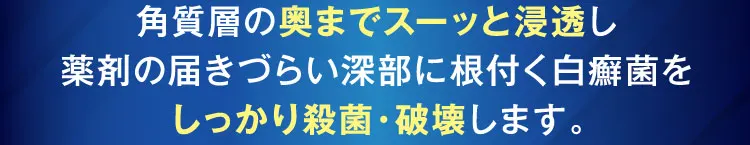 しっかり殺菌破壊します