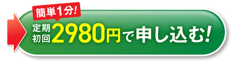 2980円で申し込む！