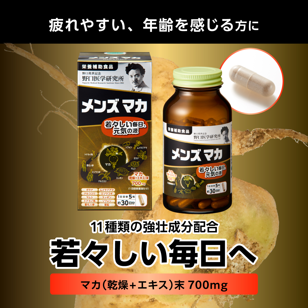 メンズマカ