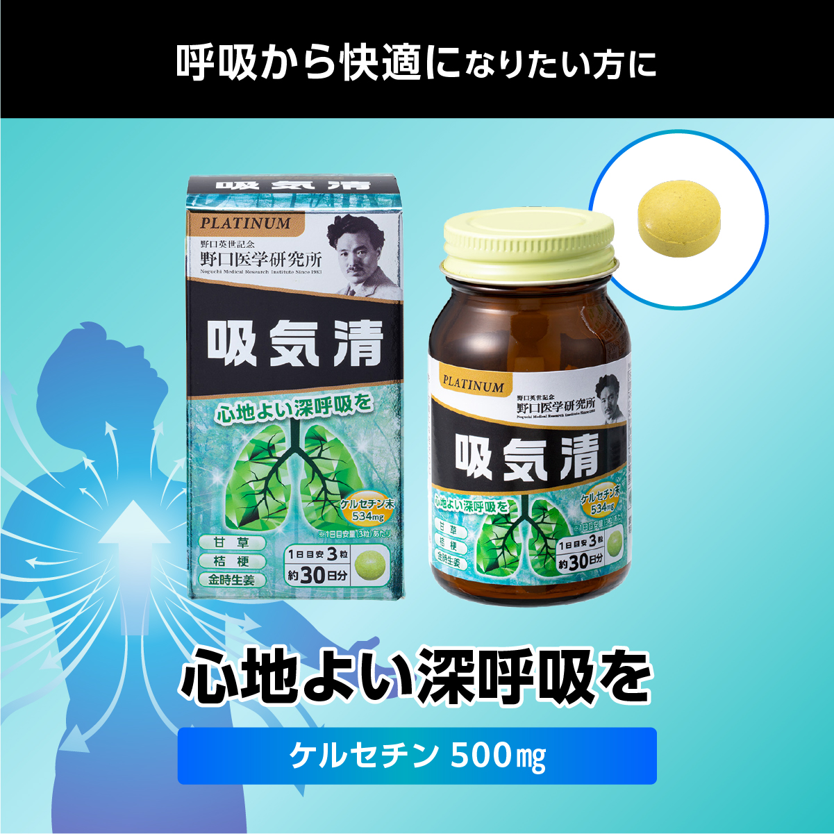 吸気清