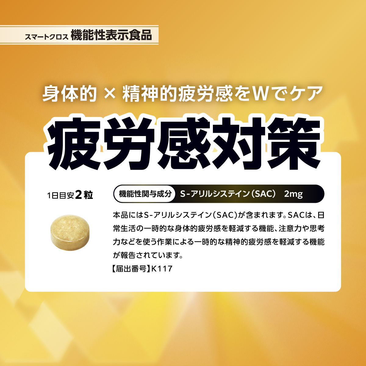 疲労感対策(15日分)