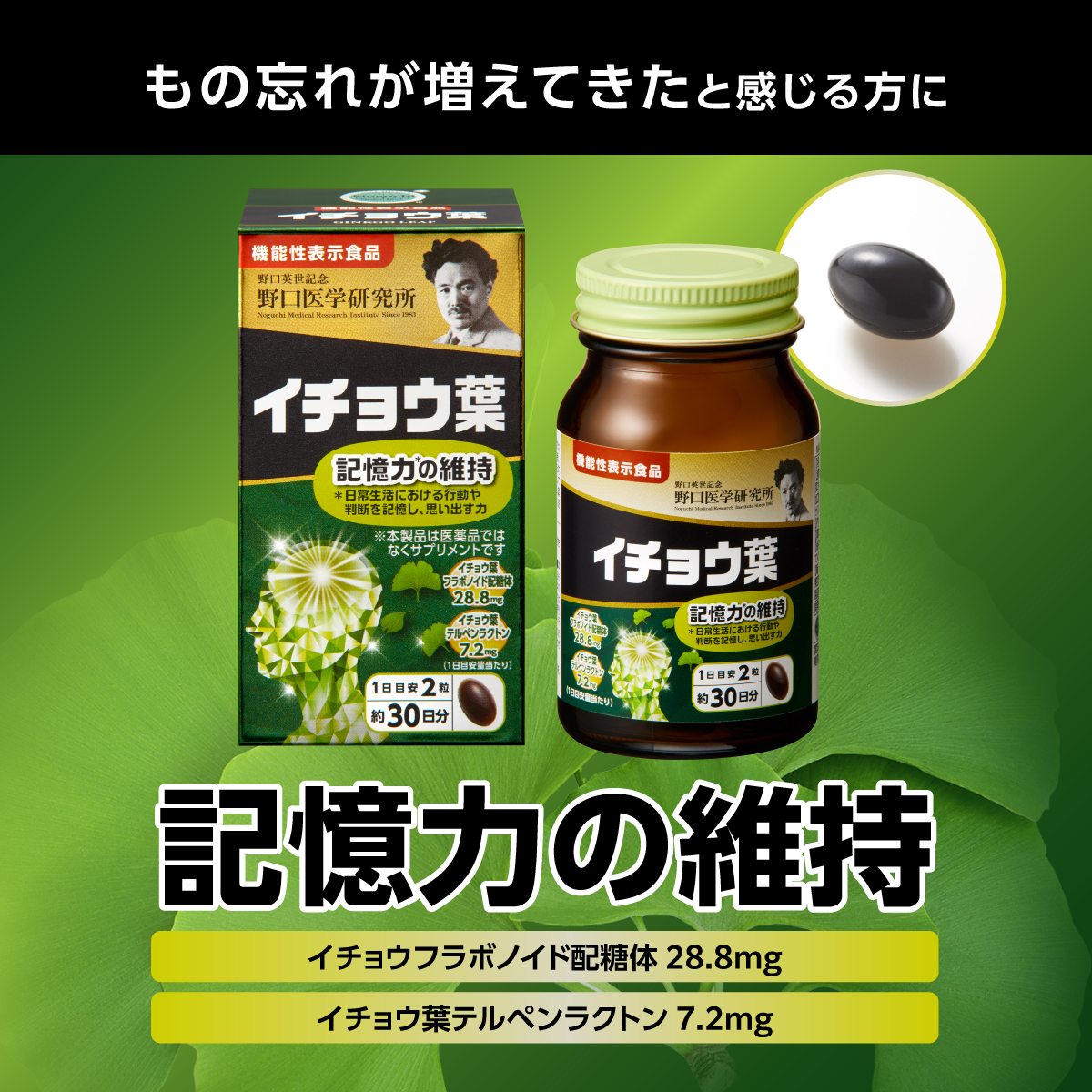 イチョウ葉（機能性表示食品）