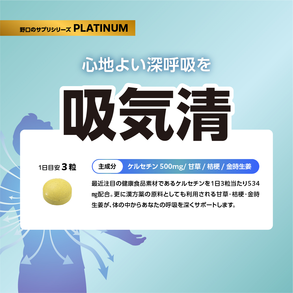 吸気清