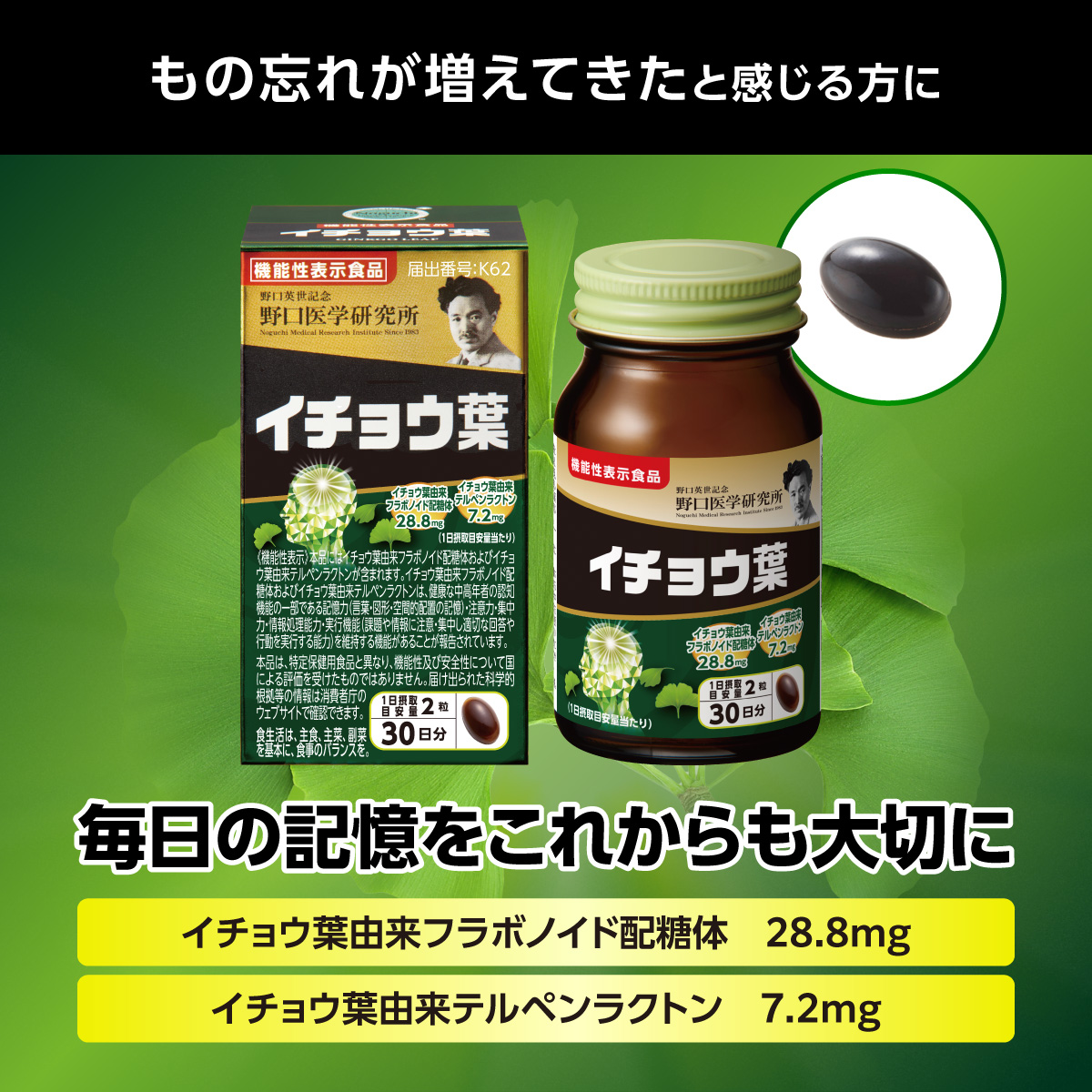 イチョウ葉（機能性表示食品）