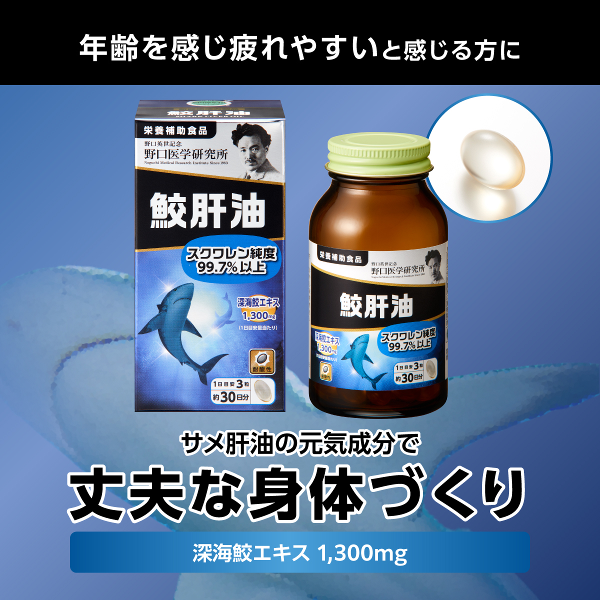 鮫肝油