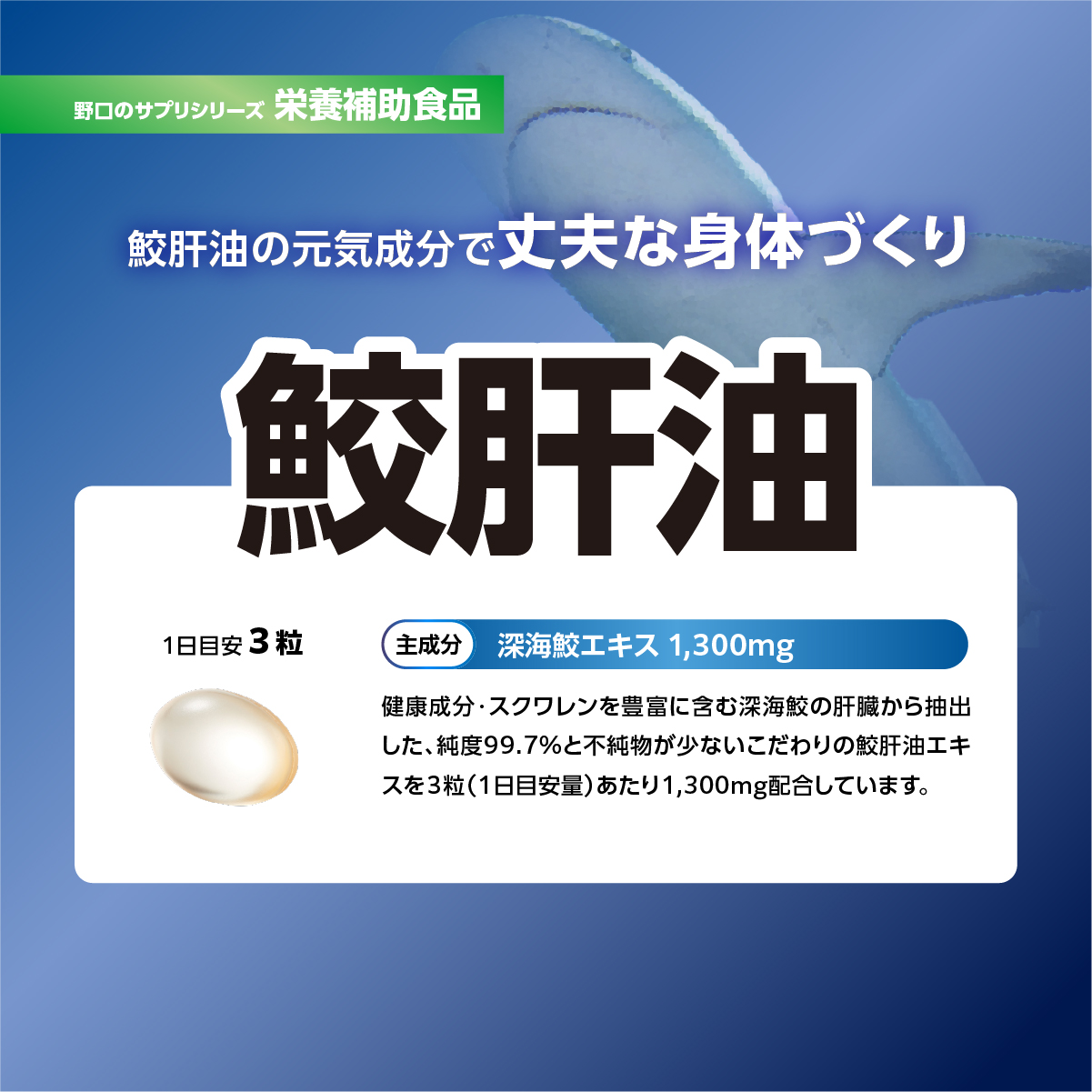 鮫肝油