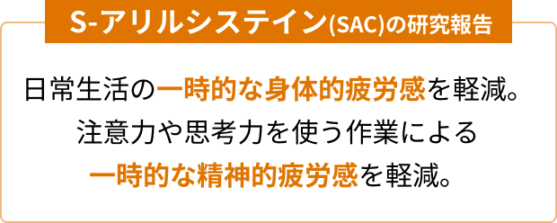 S-アリルシステイン(SAC)の研究報告 日常生活の一時的な身体的疲労感を軽減。注意力や思考力を使う作業による一時的な精神的疲労感を軽減。